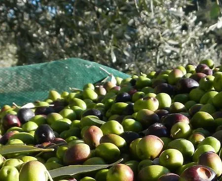 بيت للعطل La Bicocca - Apt. 