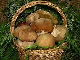 بيت للعطل La Bicocca - Apt. 